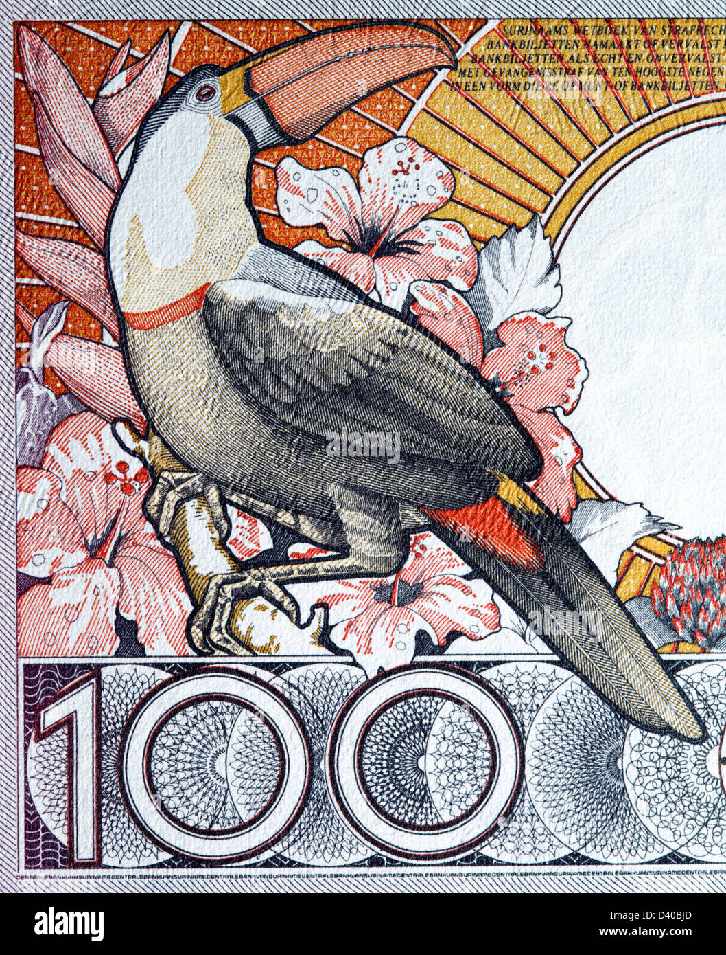Toucan von 100 Gulden Banknote, Suriname, 1988 Stockfoto