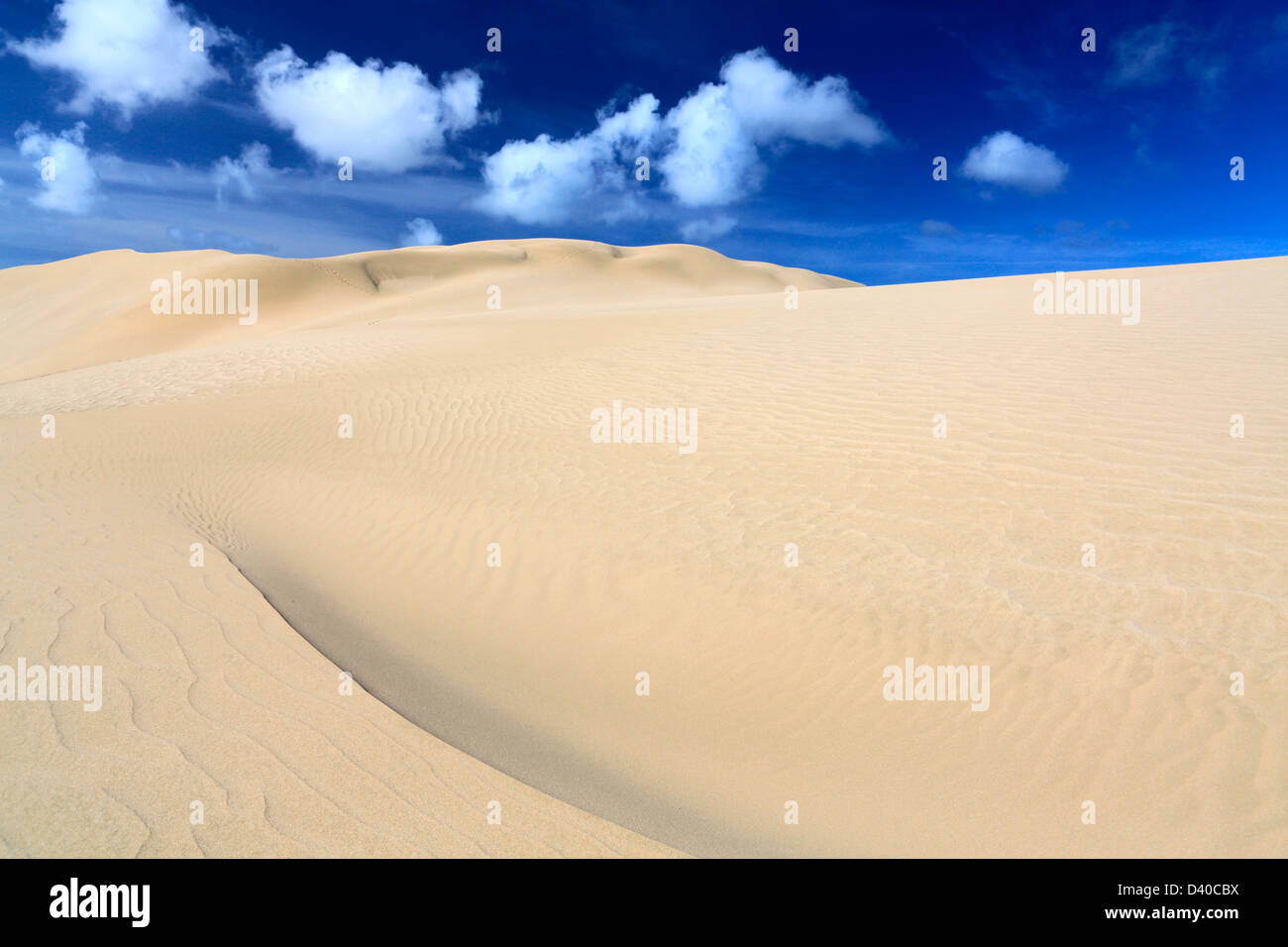 Sanddüne bei Mangawhai Heads in Northland Stockfoto