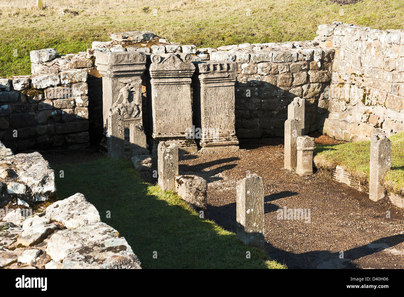 Der römische Tempel des Mithras mit Replica Stein Altäre an Brocolitia Hadrian Wand in der Nähe von Chollerford Northumberland, England Stockfoto