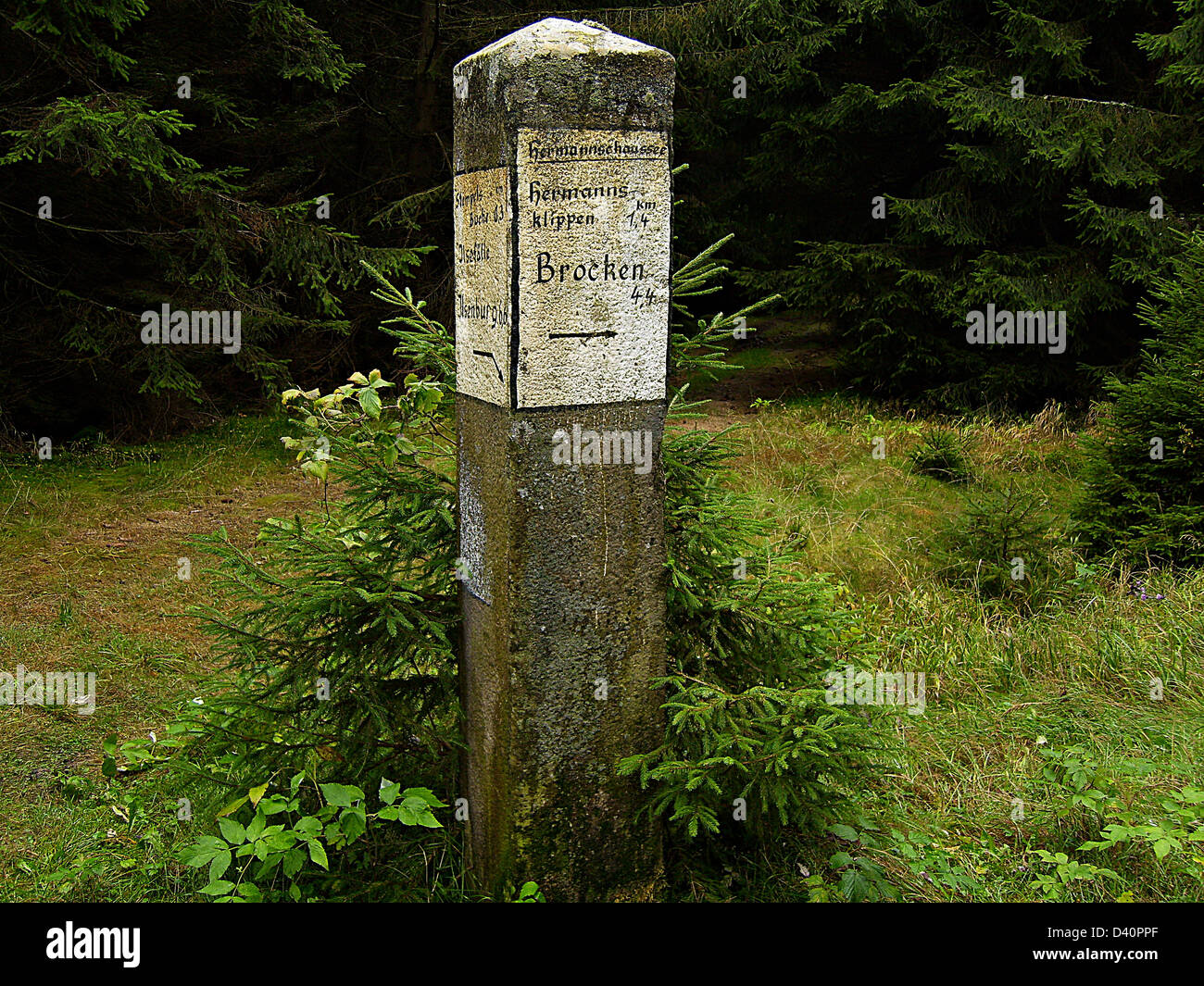 Wegweiser auf einem Wanderweg im Nationalpark Harz Stockfoto