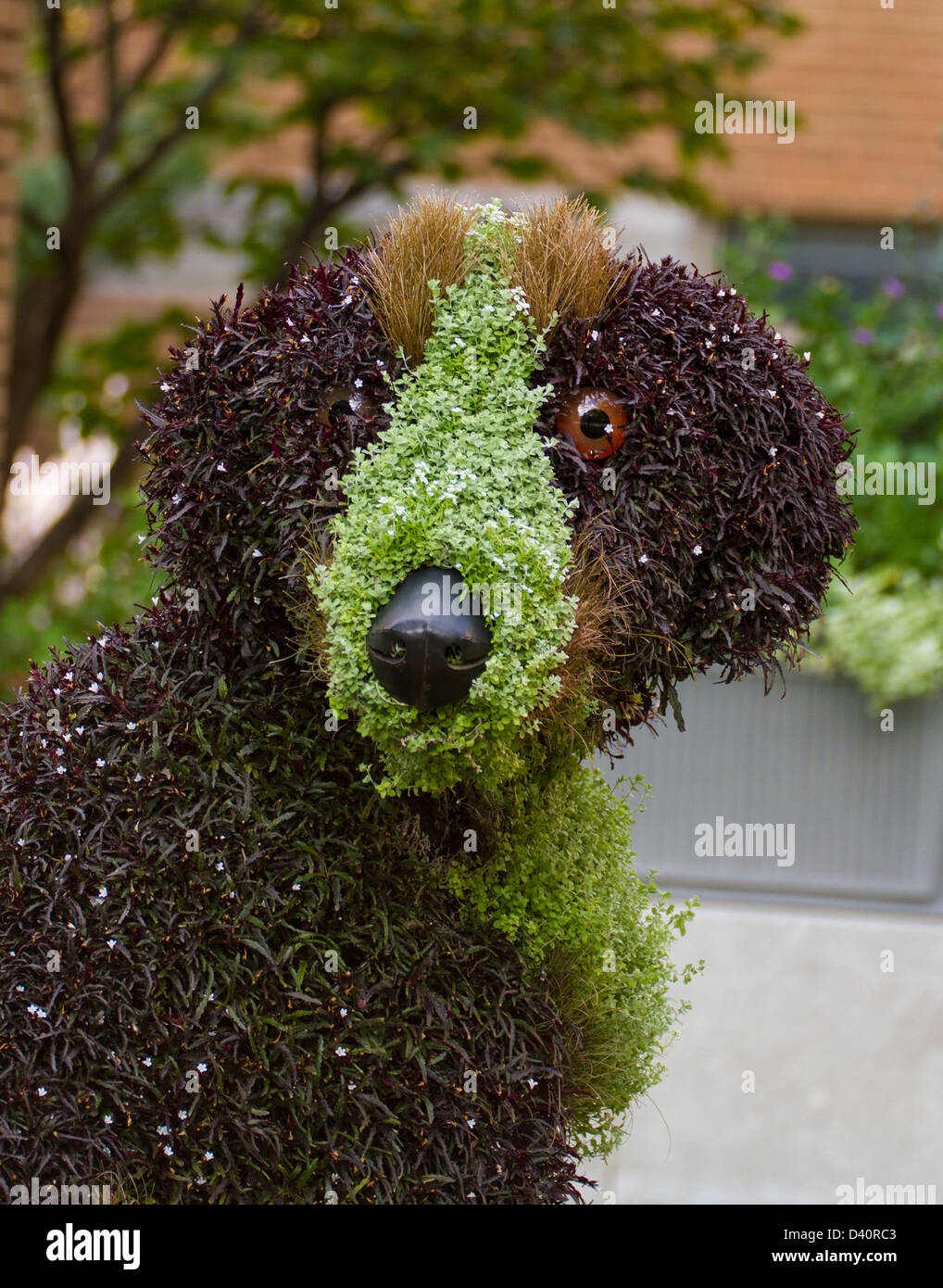 Riesiger Hund floralen Skulpturen in Botanical Garden-Montreal Stockfoto