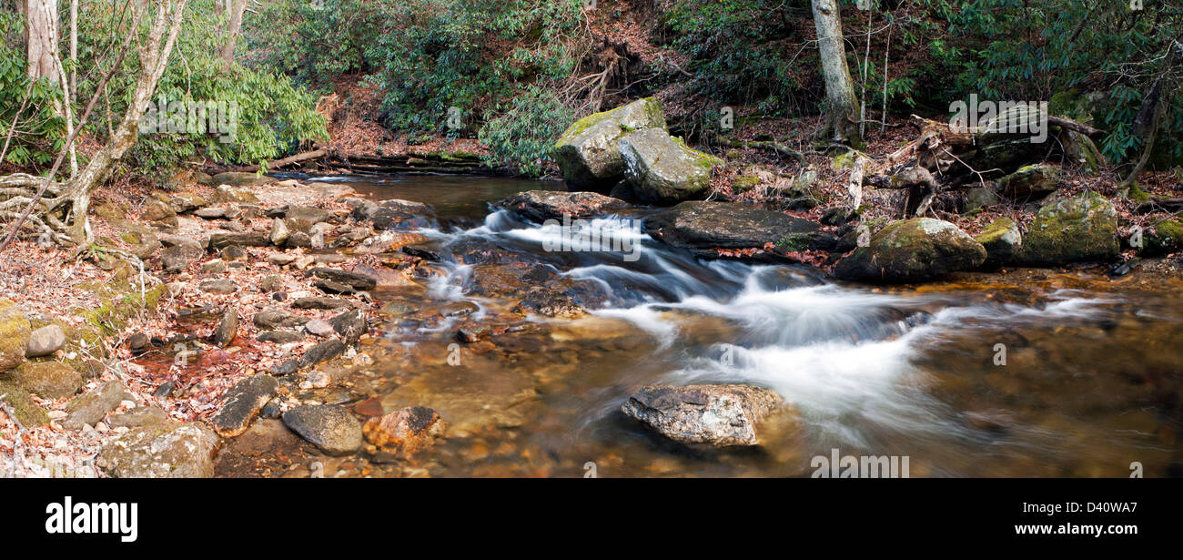 Looking Glass Creek (zusammengesetztes Bild) - Pisgah National Forest - nahe Brevard, North Carolina USA Stockfoto