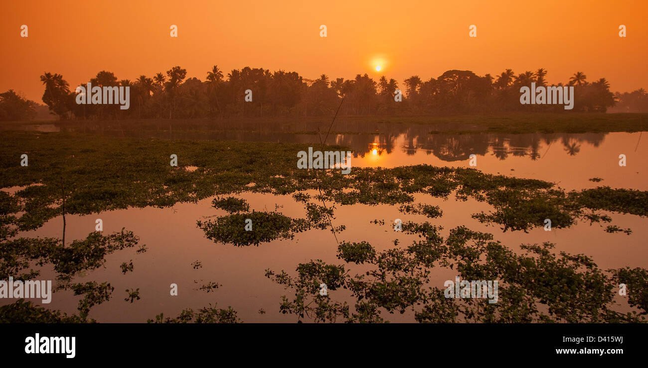 Sonnenaufgang in Backwaters in Kerala, Indien Stockfoto