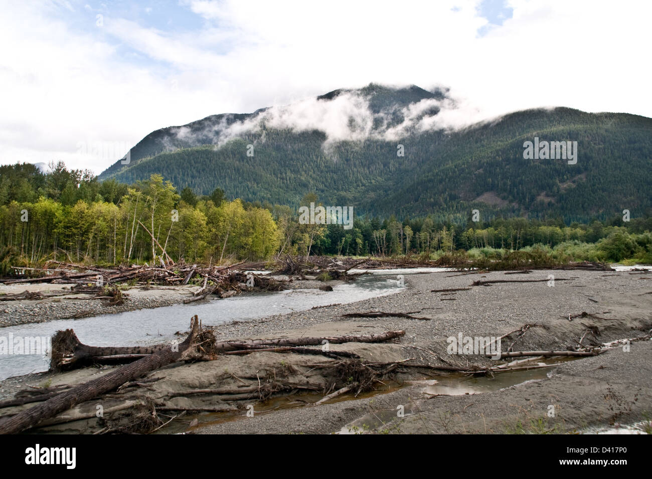 Die nebligen Bergwildnis des Great Bear Rainforest an den Ufern des Flusses Bella Coola, bei Bella Coola, Canada. Stockfoto