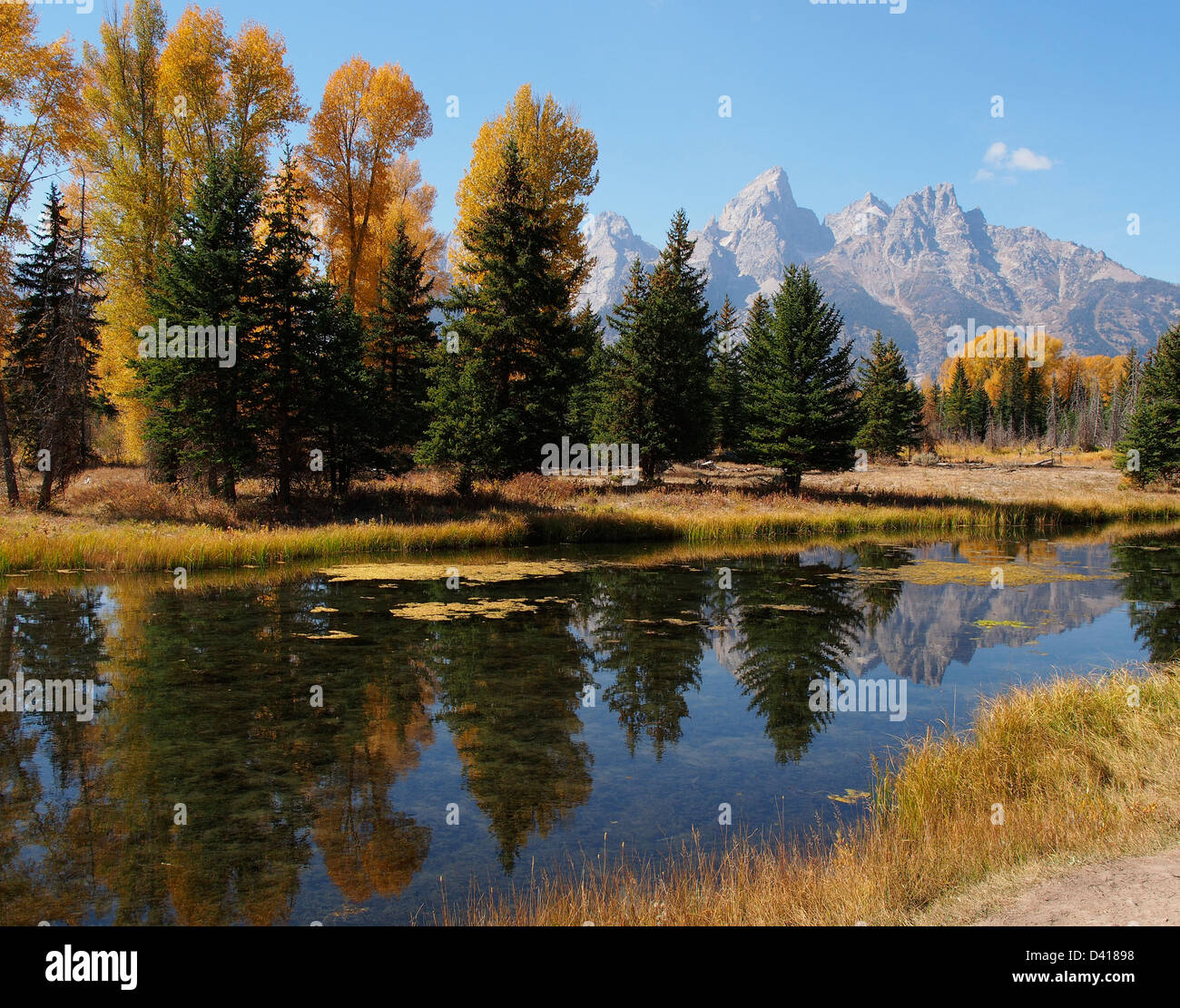 Eine Landschaft von reflektierten Bäume und Berge am Schwabacher Landung, Wyoming Stockfoto