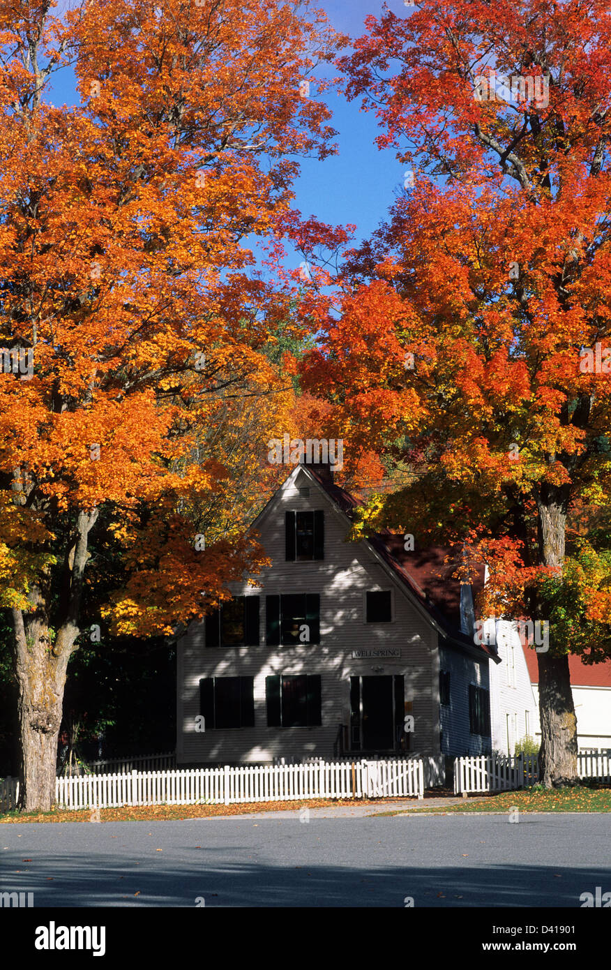 Elk280-1154v Vermont, Chelsea, Haus mit Herbstlaub Stockfoto