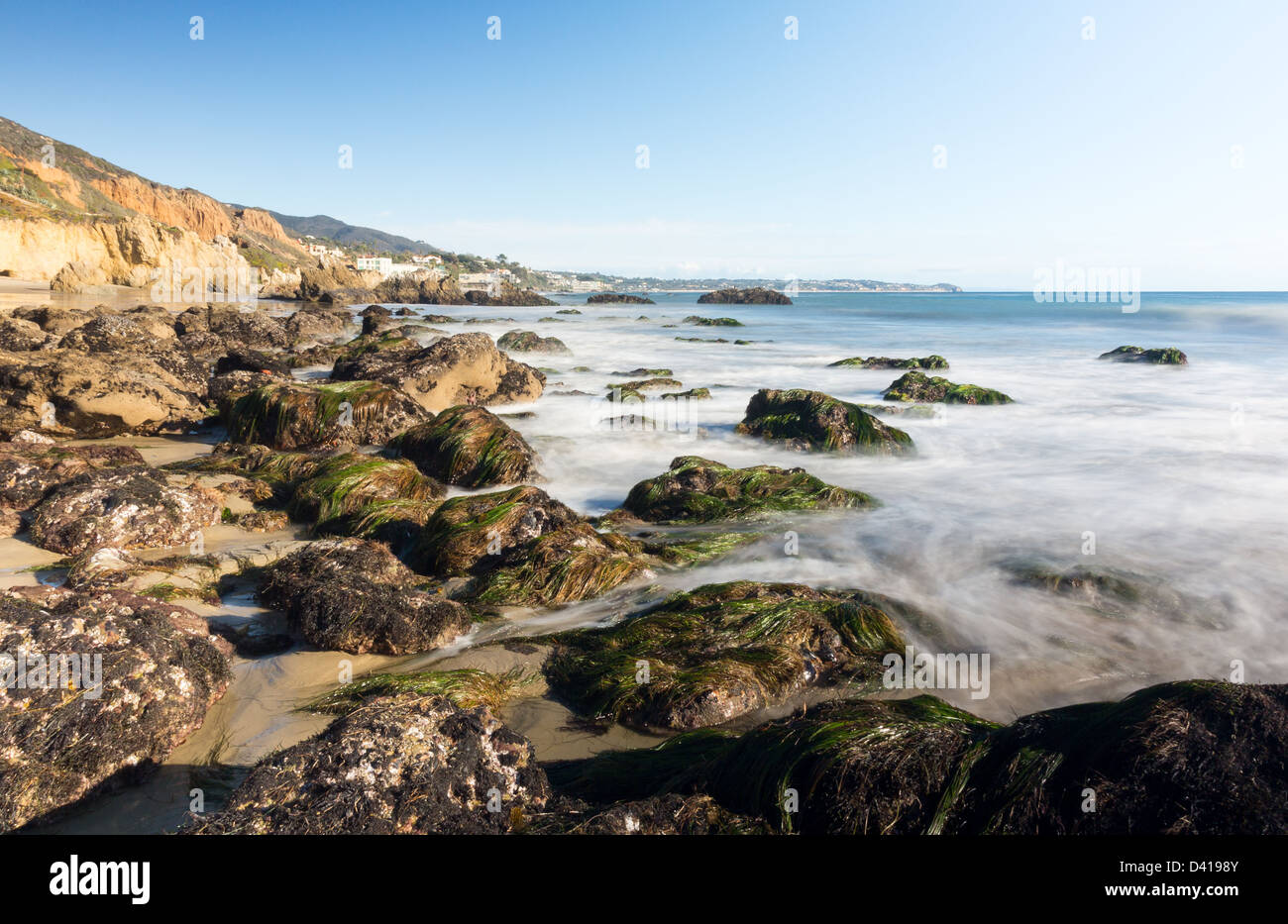 Seetang bedeckt Felsen vom Ozean auf El Matador State Beach, Malibu, Kalifornien, USA Stockfoto