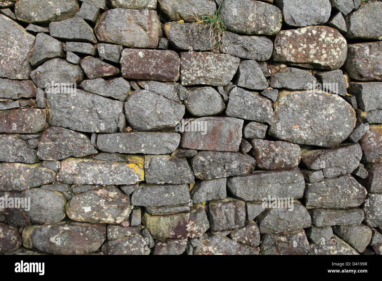eine Wand aus Steinen Steinmauer gebaut in den 1500er in Nova Scotia Kanada Stockfoto