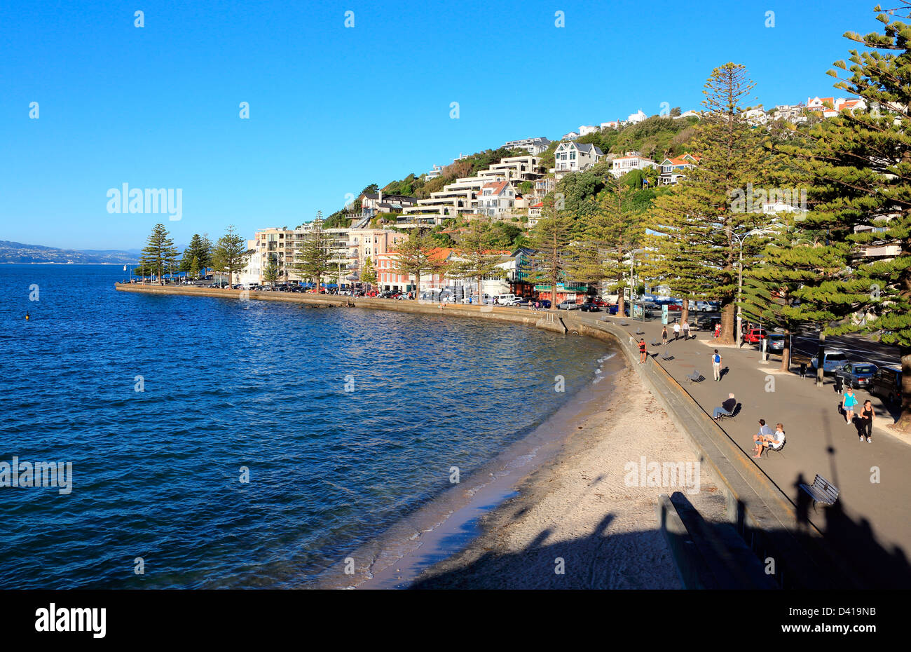 Sommer Menschenmenge am Oriental Bay Beach in Wellington Stockfoto