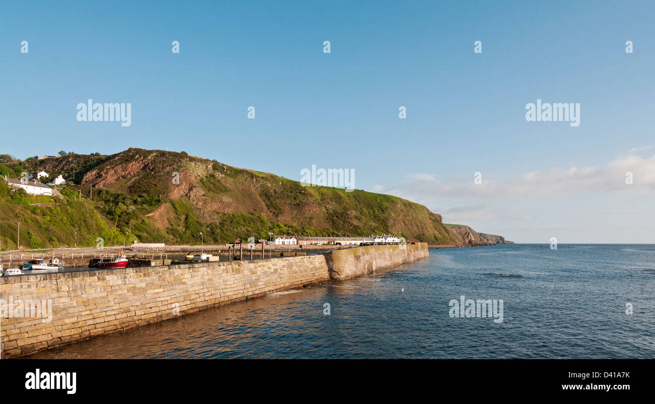 Schottland, Scottish Borders, Burnmouth Hafen Ufermauer Stockfoto