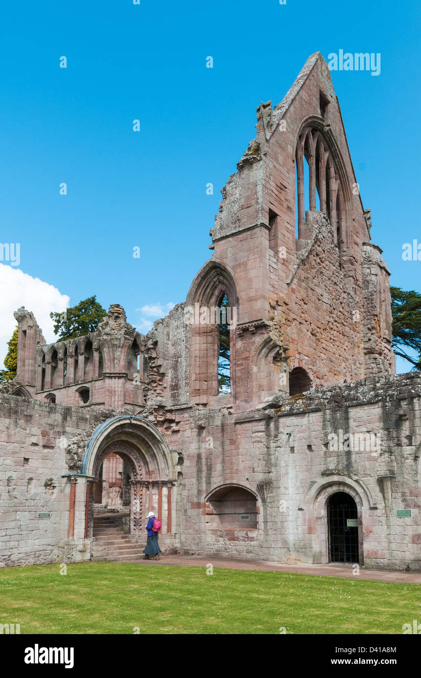 Schottland, Scottish Borders, Dryburgh Abbey Stockfoto