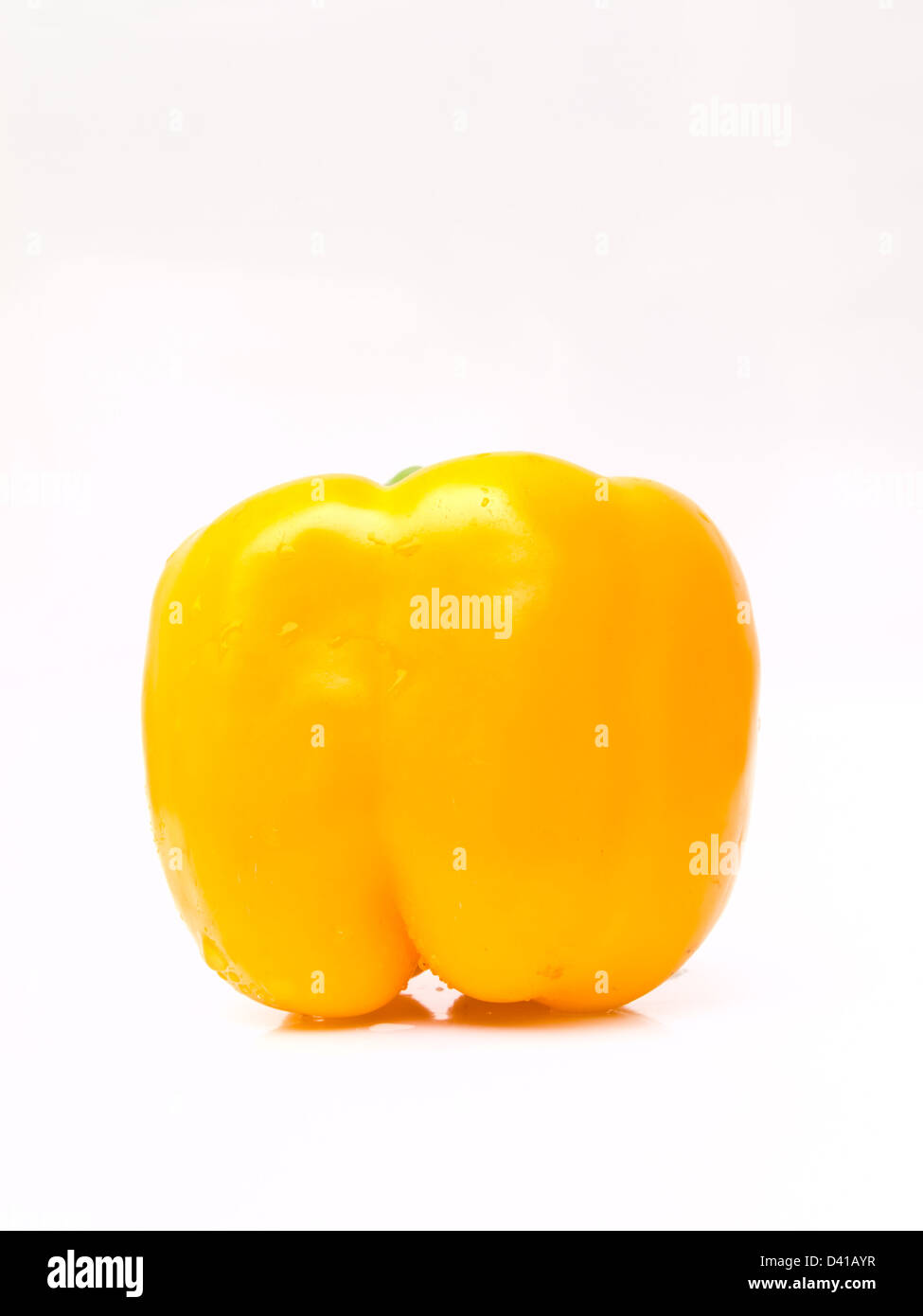Frische gelbe Paprika, Capsicum Annuum, isoliert auf weißem Hintergrund Stockfoto