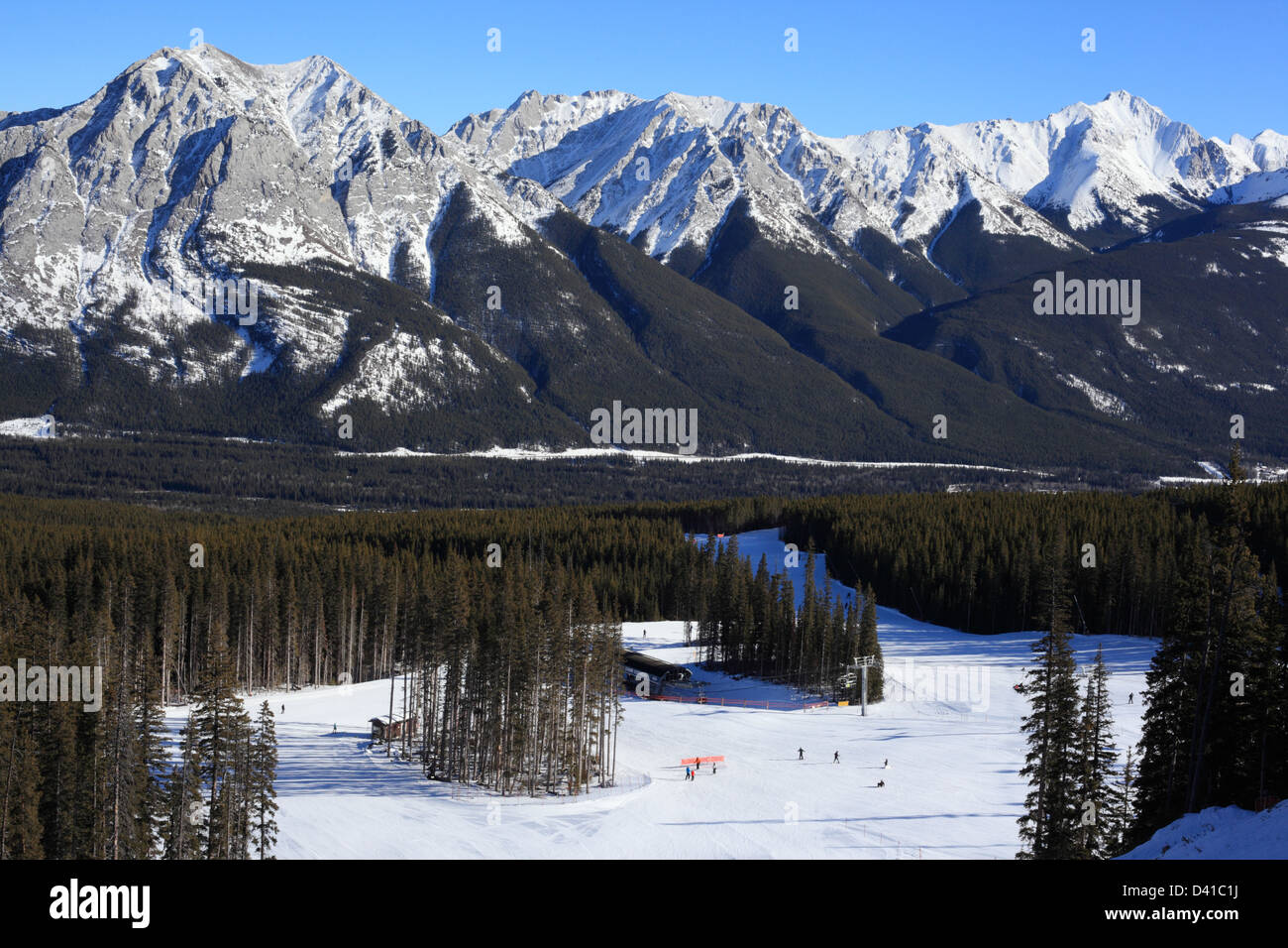 Skifahrer unter den kanadischen Rocky Mountains (Kananaskis Country, Alberta) Stockfoto