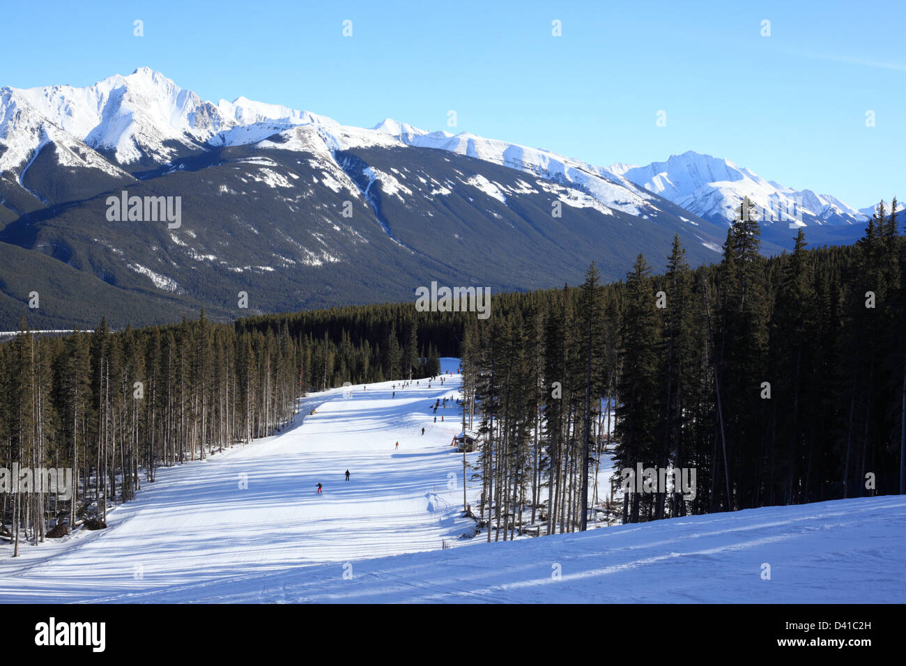 Pisten in den kanadischen Rockies (Kananaskis Country, Alberta) Stockfoto