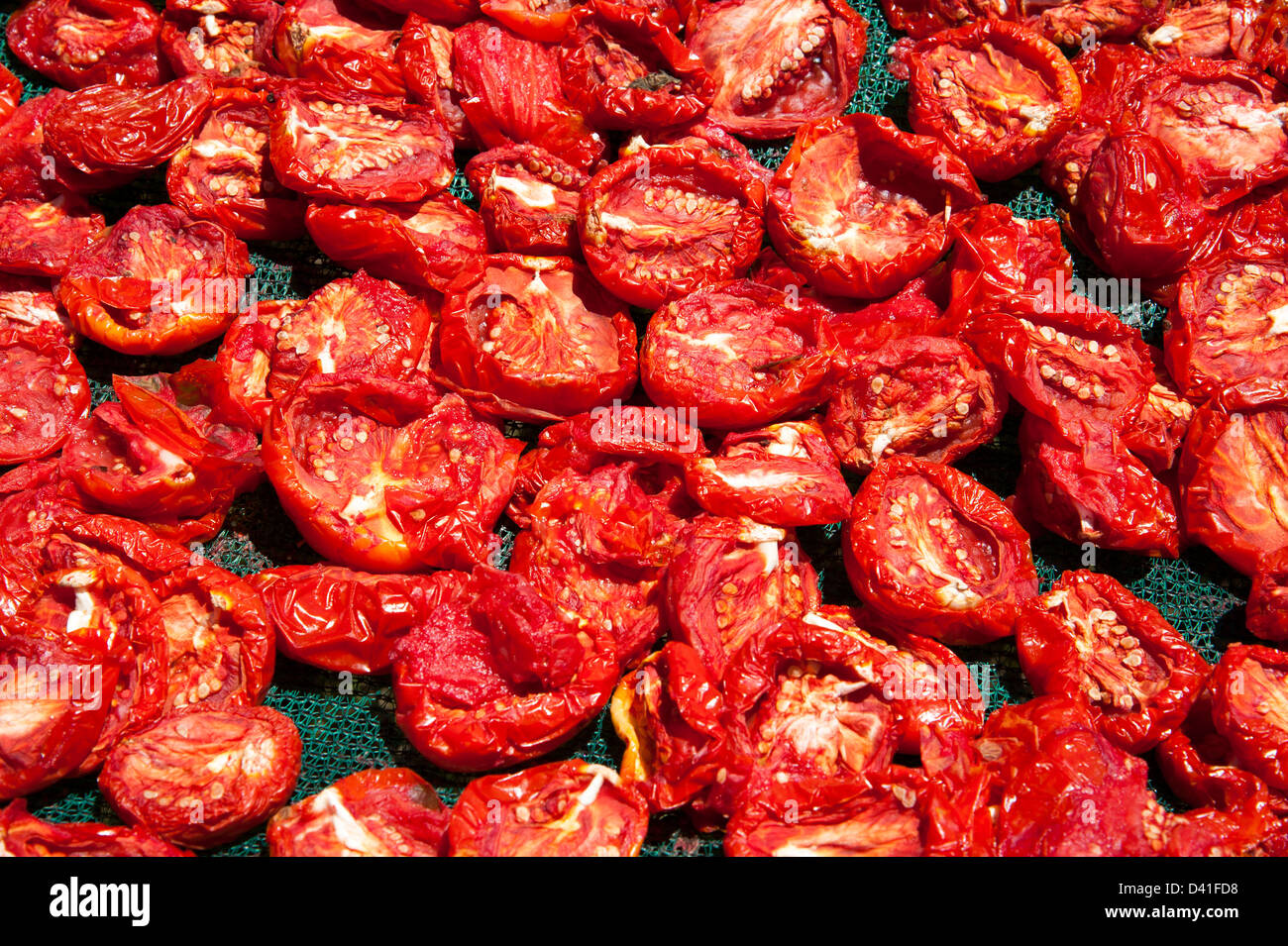 Südafrikanische Tomaten auf Gestellen in der Sonne trocknen Stockfoto