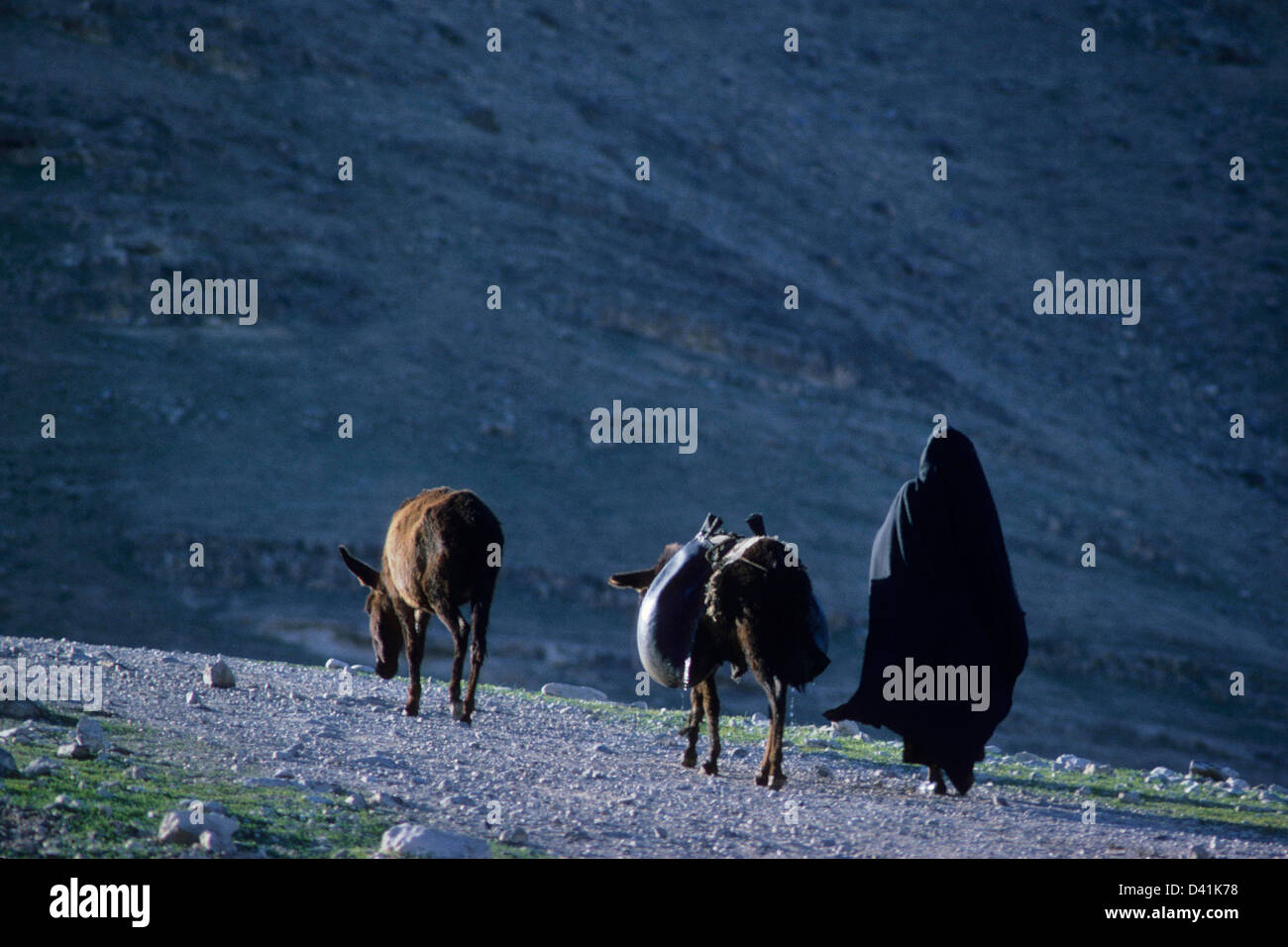 Frau mit zwei Eseln in den Hügeln von Jordaniens Westjordanland an einem kalten Abend nach Hause laufen. Stockfoto