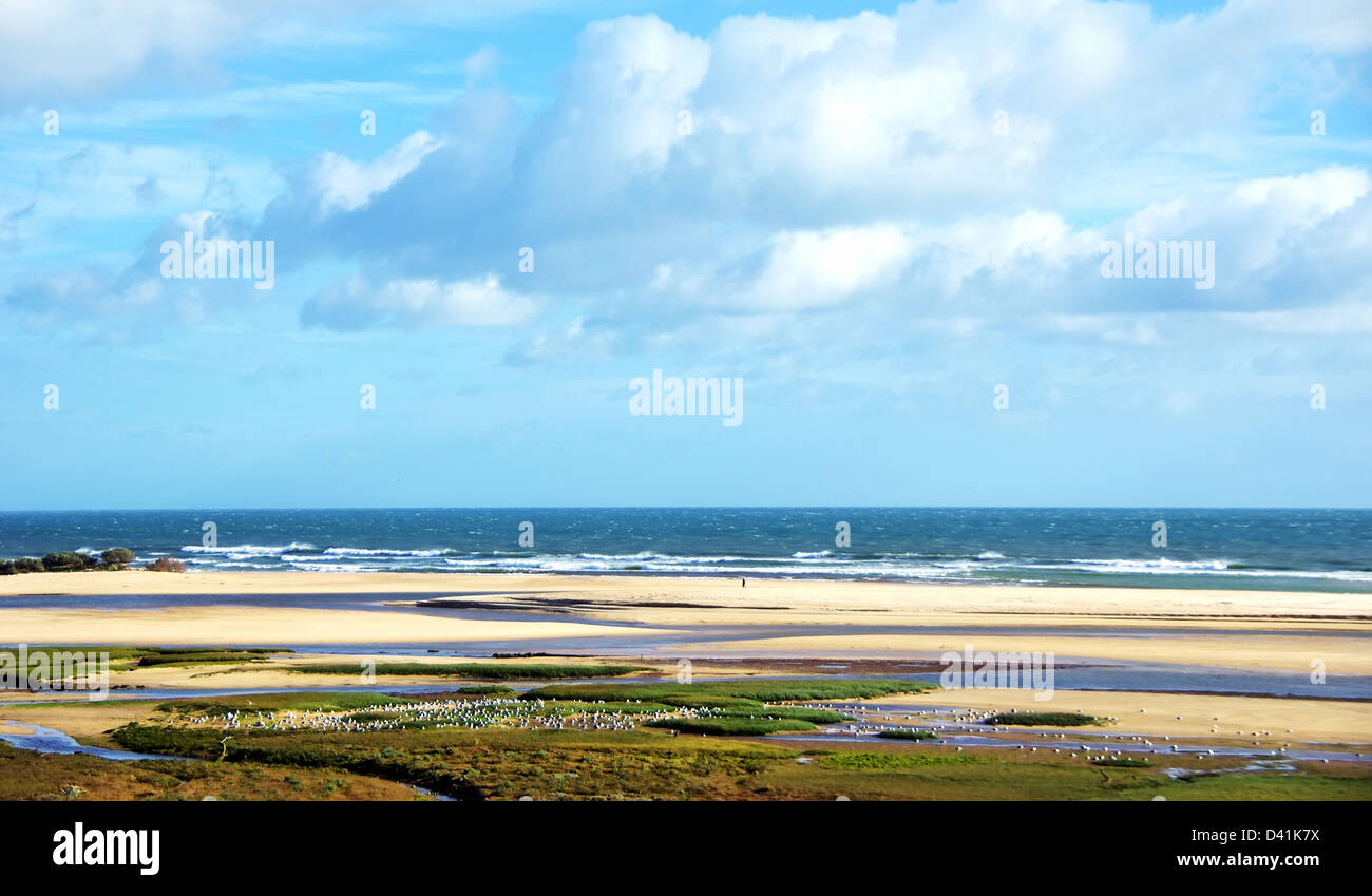 Landschaft der Ria Formosa, Algarve Stockfoto