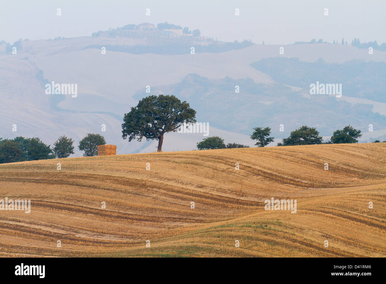 Geerntete Felder in der Val d ' Orcia, Toskana, Italien Stockfoto