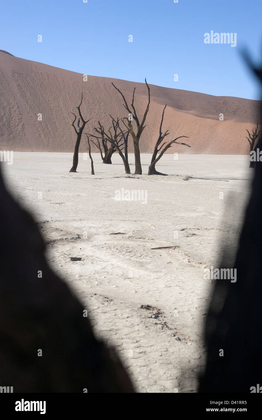 Deadvlei Sossusvlei Stockfoto