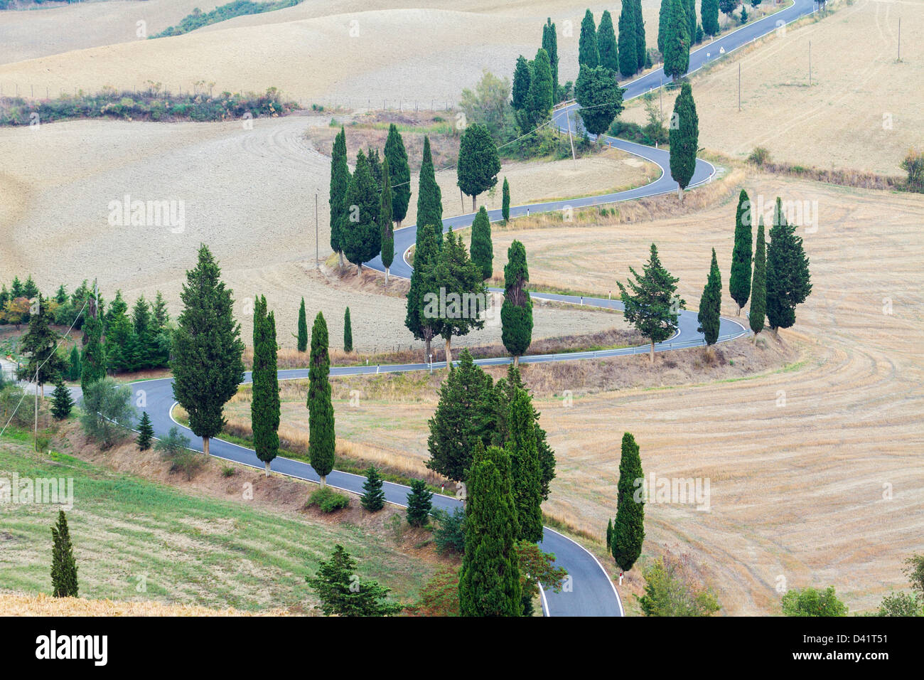 Kurvenreiche Straße, gesäumt von Zypressen, in der Nähe von Monticchiello, Toskana Stockfoto