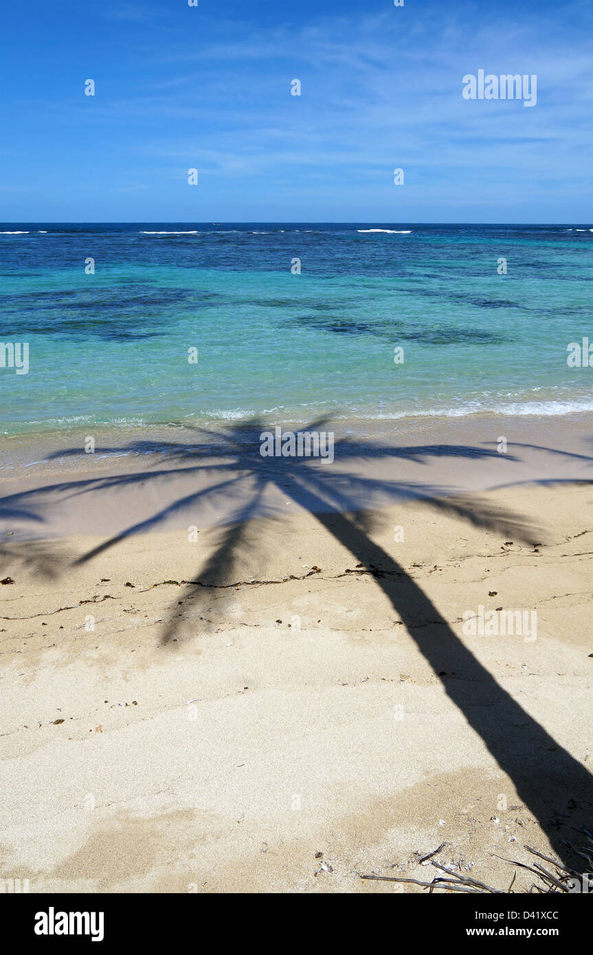Kokosnuss Baum Schatten an einem Sandstrand mit kristallklarem Wasser der Lagune im Hintergrund Stockfoto