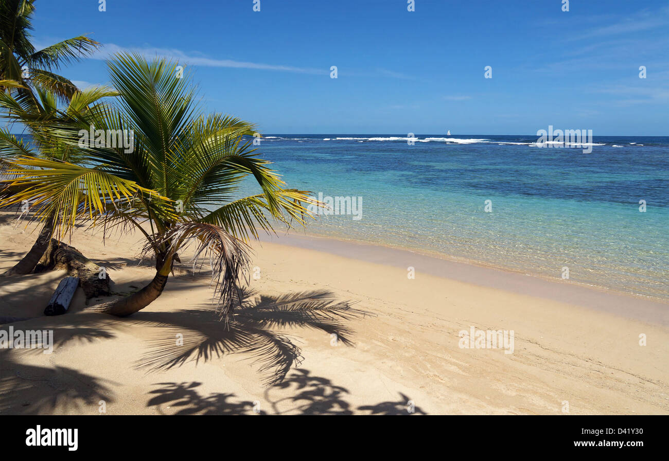 Ein Stück vom Paradies auf einem tropischen Strand mit Kokospalmen und kristallklarem Wasser der Lagune, Karibik Stockfoto