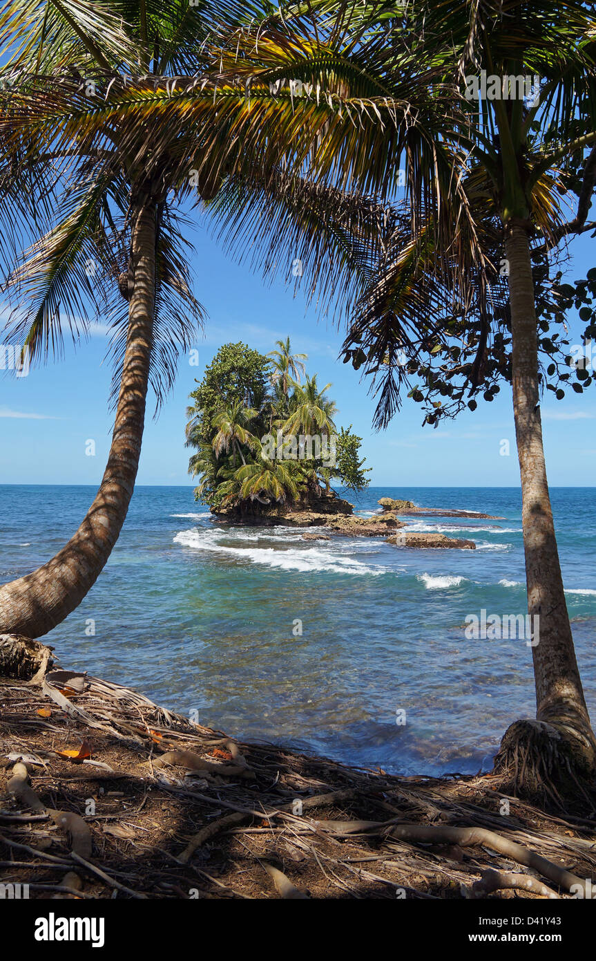 Wunderschönen tropischen Insel-Blick von der Küste Kokos Bäume Schatten Stockfoto