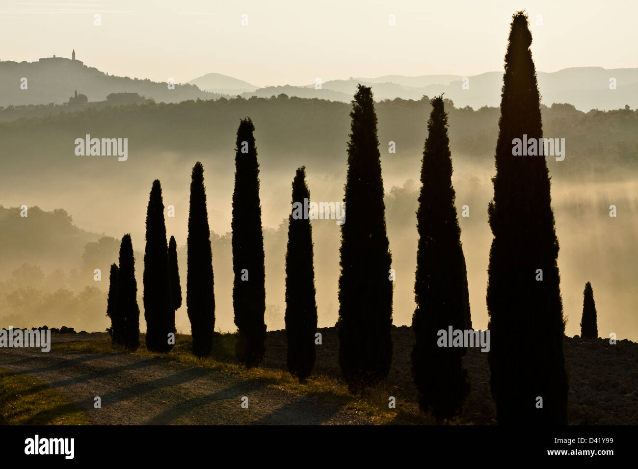 Toskanische Landschaft, Val D'Orcia, Toskana, Italien Stockfoto