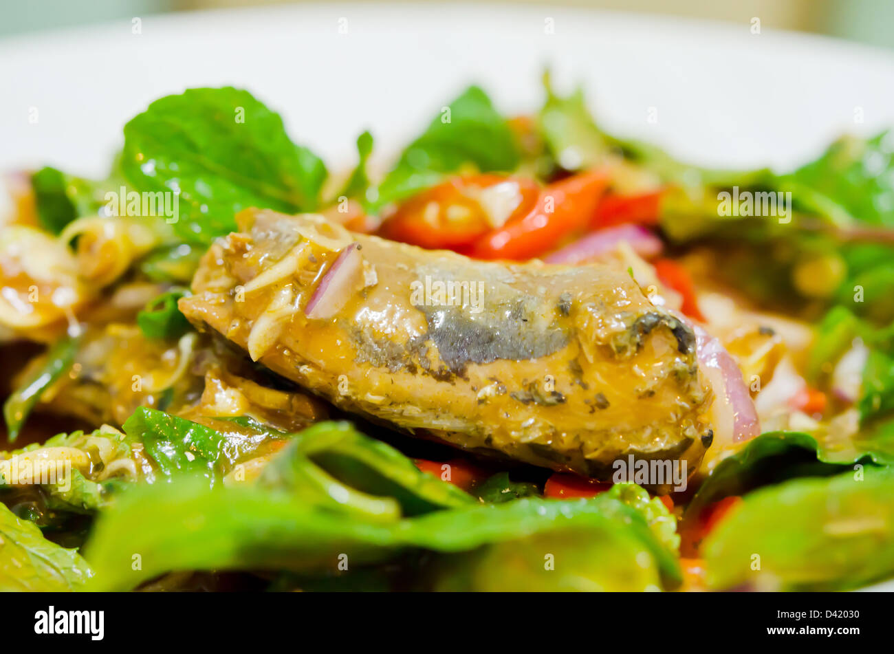 würziger Salat aus der Dose Fisch und frisches Gemüse Stockfoto