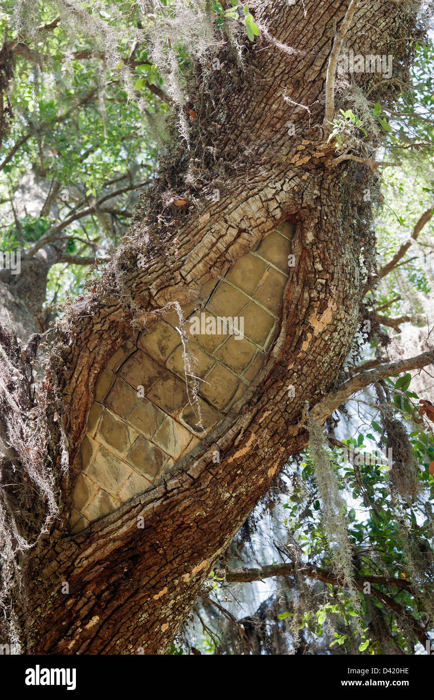 Mepkin Abbey ist eine Gemeinschaft von katholischen Trappisten-Zisterzienser-Mönche befindet sich auf dem Cooper River nördlich von Charleston SC Stockfoto