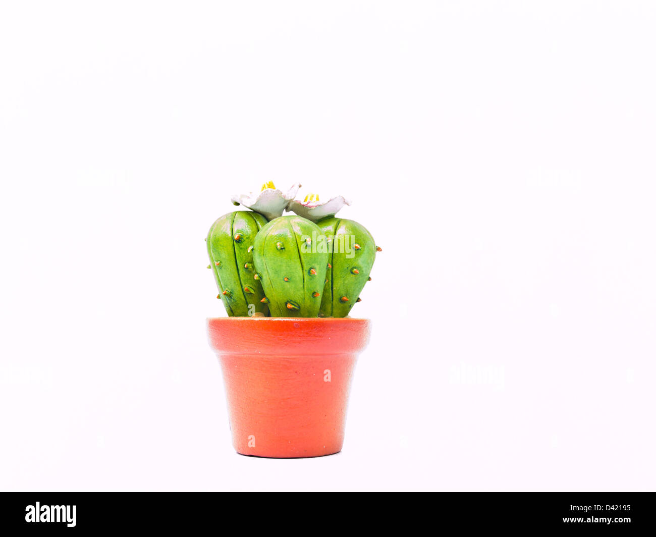 Kaktus ein Symbol für chemische Stockfoto