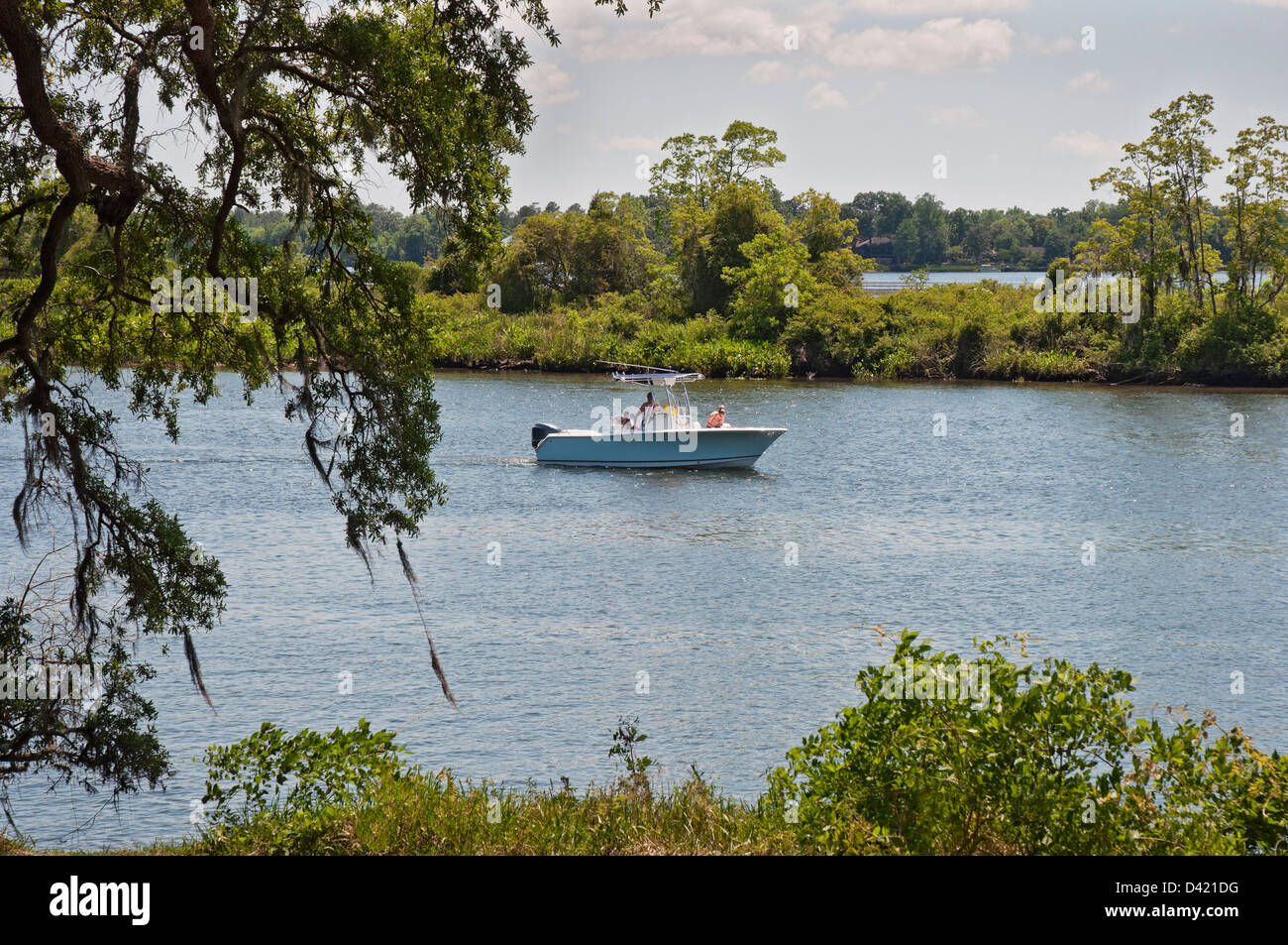 Freizeit Bootfahren auf dem Cooper River nördlich von Charleston SC Stockfoto