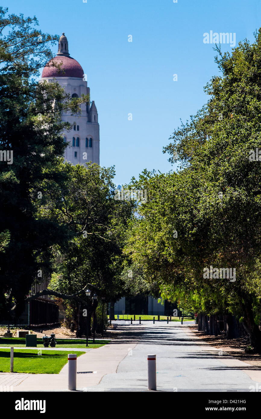 Hoover-Turm an der Stanford University Stockfoto