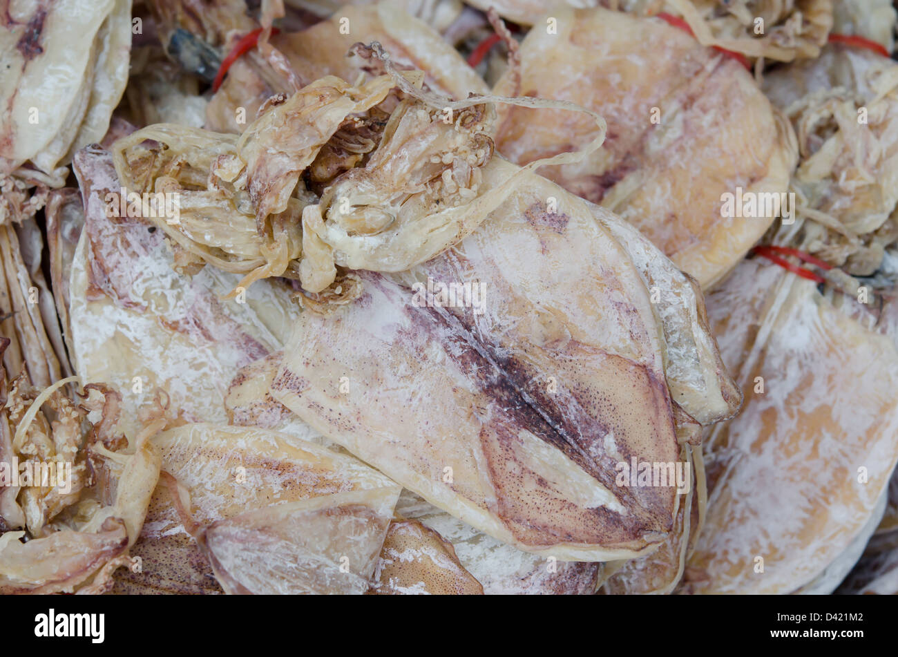 trockenen Tintenfisch für Verkauf im Markt von Thailand Stockfoto