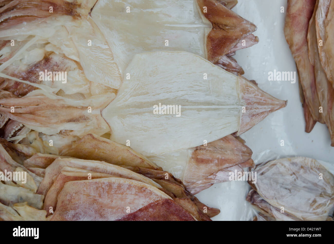 trockenen Tintenfisch im Markt von Thailand Stockfoto