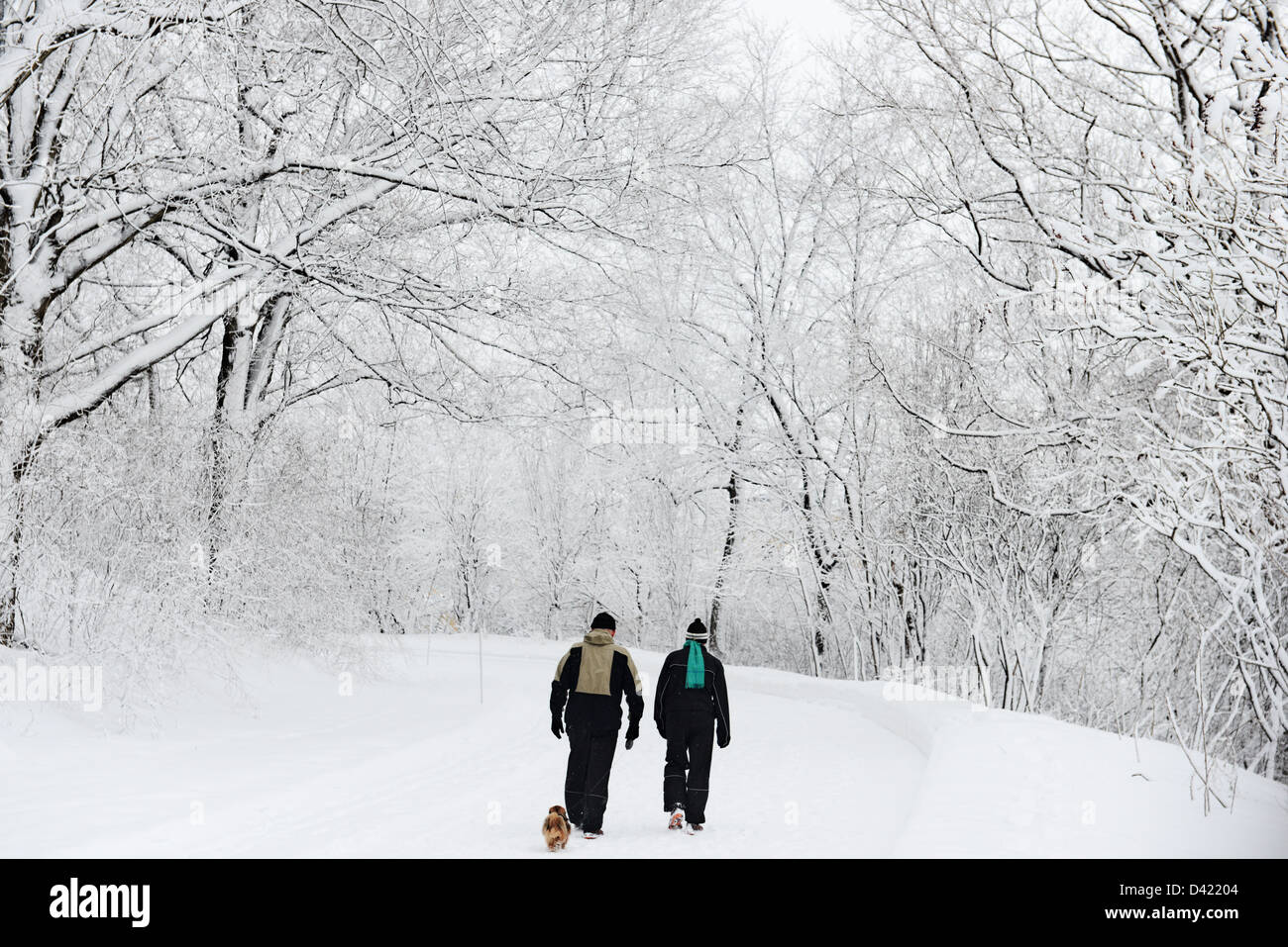 Paare, die ihren Hund im Schnee bedeckt Mont Royal Park im Winter, Parc du Mont-Royal, Montreal, Quebec, Kanada Stockfoto
