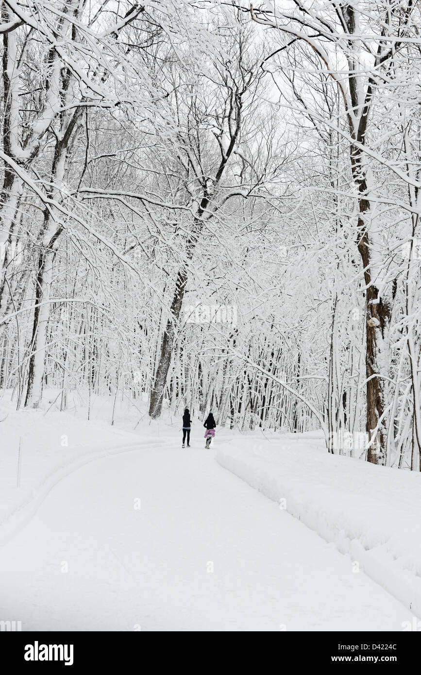 Frauen laufen im Schnee bedeckt Mont Royal Park im Winter, Parc du Mont-Royal, Montreal, Quebec, Kanada Stockfoto