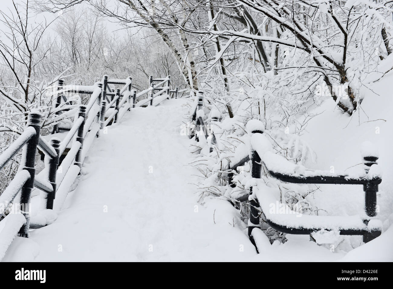 Schnee bedeckt die Treppen des Mont Royal Park im Winter, Parc du Mont-Royal, Montreal, Quebec, Kanada Stockfoto