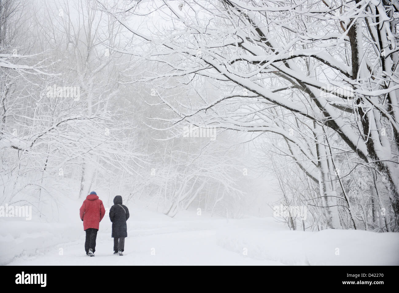 Paare, die im Nebel im Schnee bedeckt Mont Royal Park im Winter, Parc du Mont-Royal, Montreal, Quebec, Kanada Stockfoto