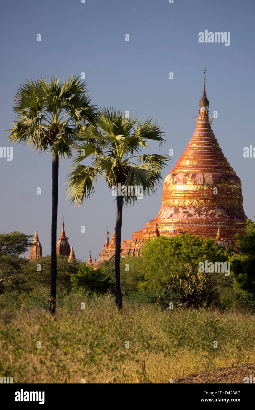 Dhammayazika-Pagode in Bagan Myanmar Stockfoto