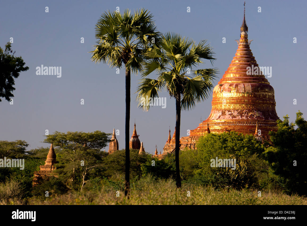 Dhammayazika-Pagode in Bagan Myanmar Stockfoto