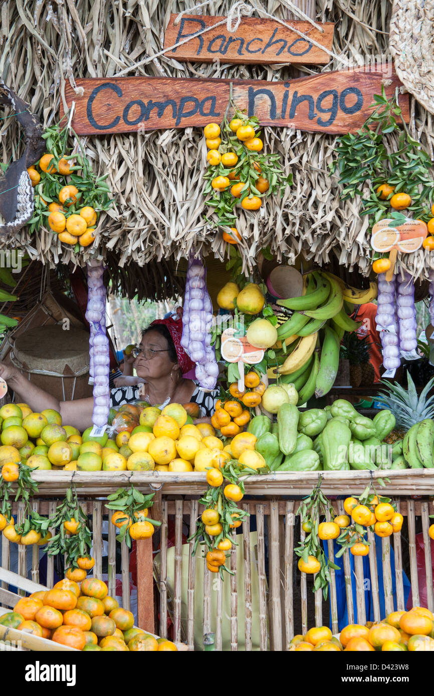 Panamaische Frau sitzt hinter ihr schöne, reich verzierte Anzeige von Obst und Gemüse auf dem Festival De La Naranja in Panama. Stockfoto