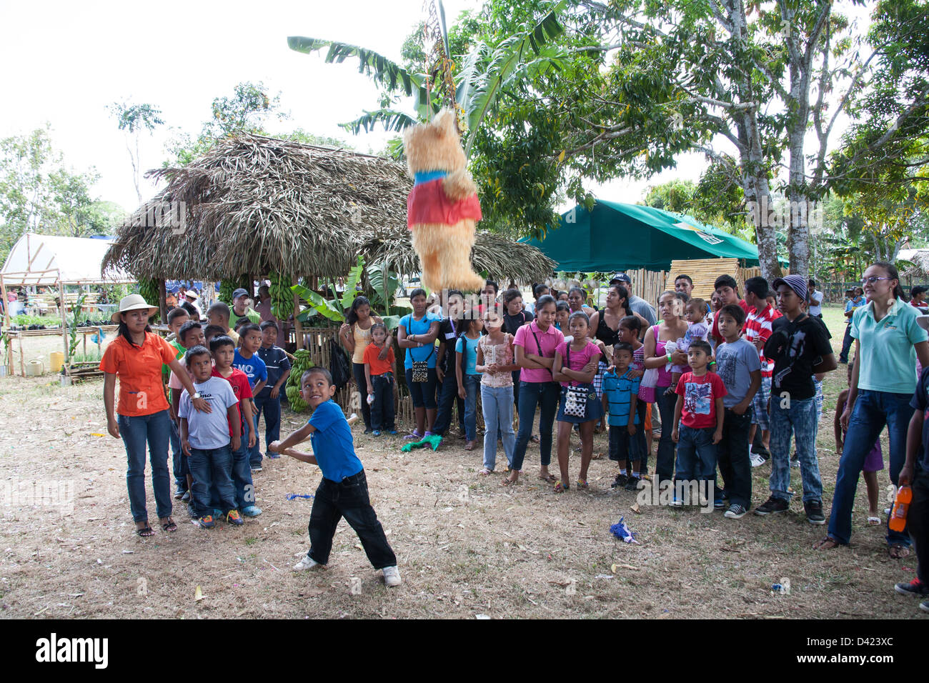 Ein panamaischer junge versucht ein Pinata am Festival De La Naranja aufzubrechen. Stockfoto