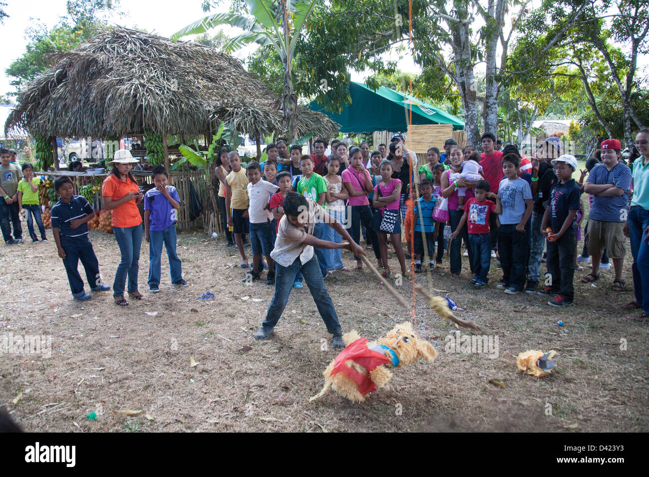 Ein panamaischer junge versucht ein Pinata am Festival De La Naranja aufzubrechen. Stockfoto