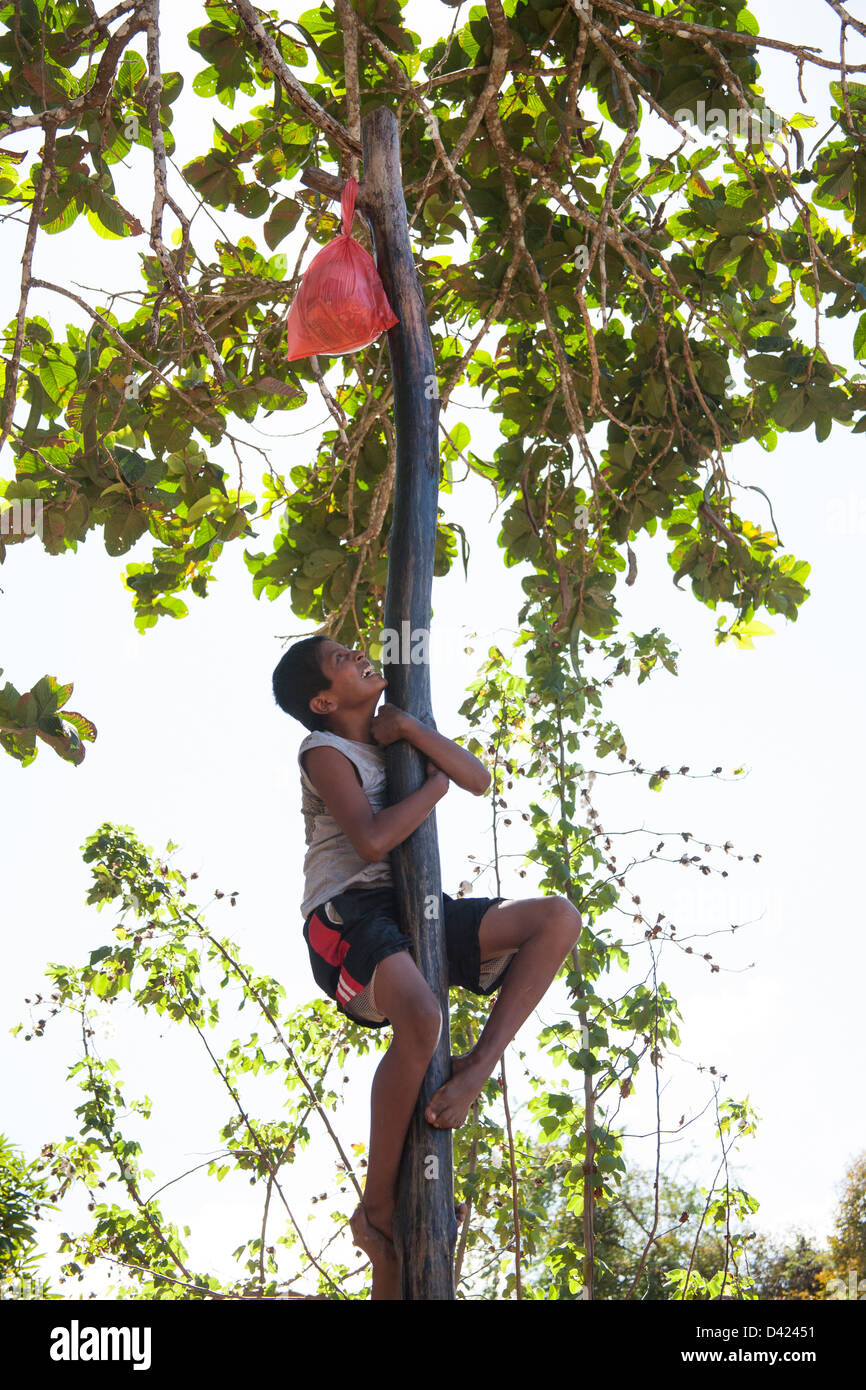 Panamaischer junge Spiel auf dem Festival De La Naranja.  Er versucht, eine geschliffene 12' Holzstange für einen Beutel mit Süßigkeiten zu klettern. Stockfoto