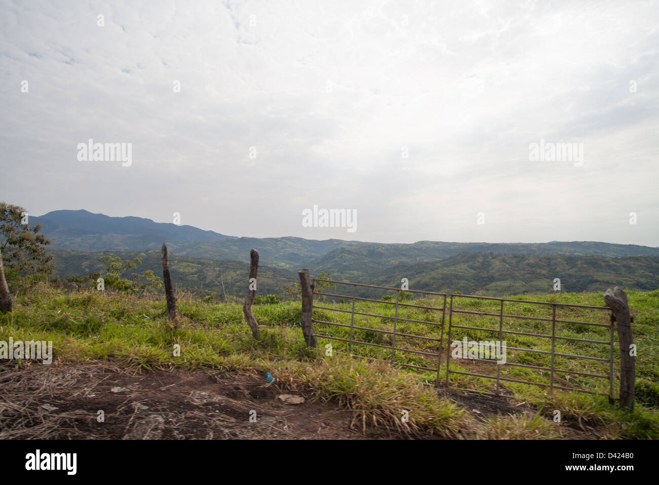 Gebirge in die kontinentale Wasserscheide in Panama mit einem lebenden Zaun im Vordergrund. Stockfoto