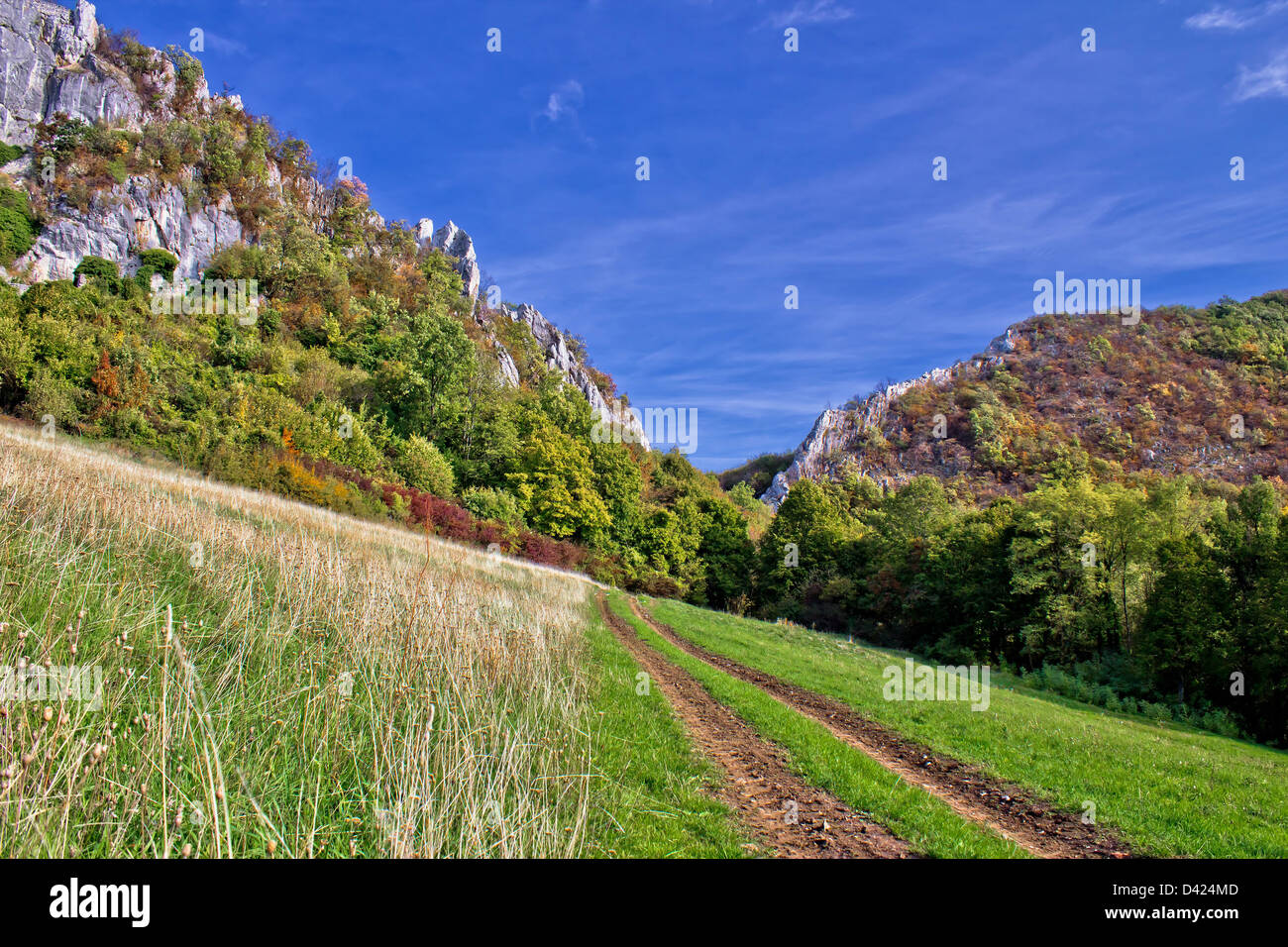 Berg-Natur - Traktorweg zum Canyon, Herbst auf Kalnik Berg, Prigorje, Kroatien Stockfoto