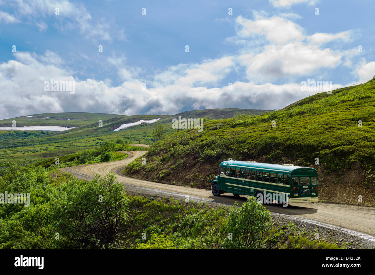 Shuttle-Busse Besucher auf den begrenzten Zugang Denali Park Road, Denali National Park, Alaska, USA Stockfoto