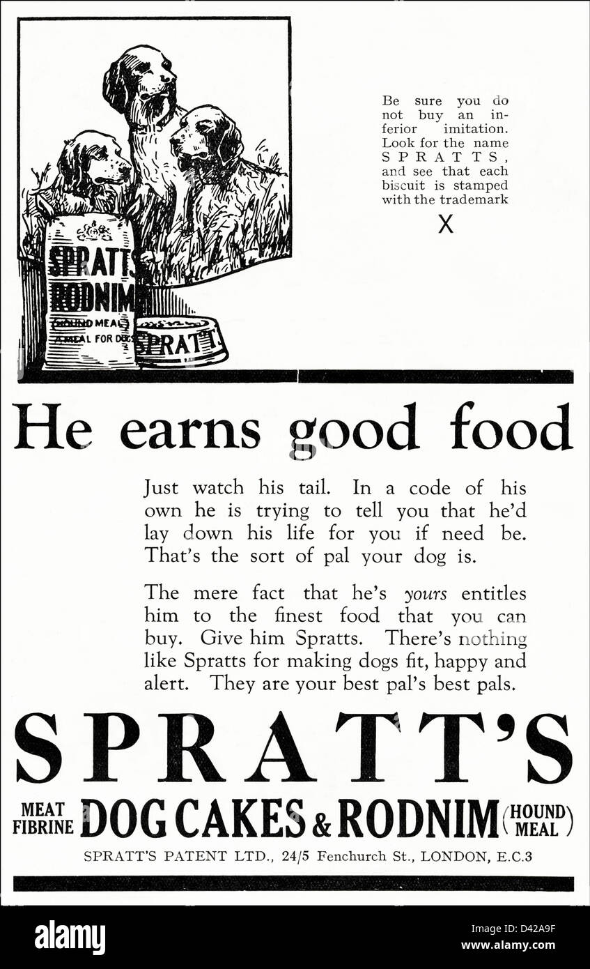 Original 1920er Jahre Vintage Printwerbung aus englischer Country Gentleman Zeitung Werbung SPRATT Hundefutter von Fenchurch Street London Stockfoto