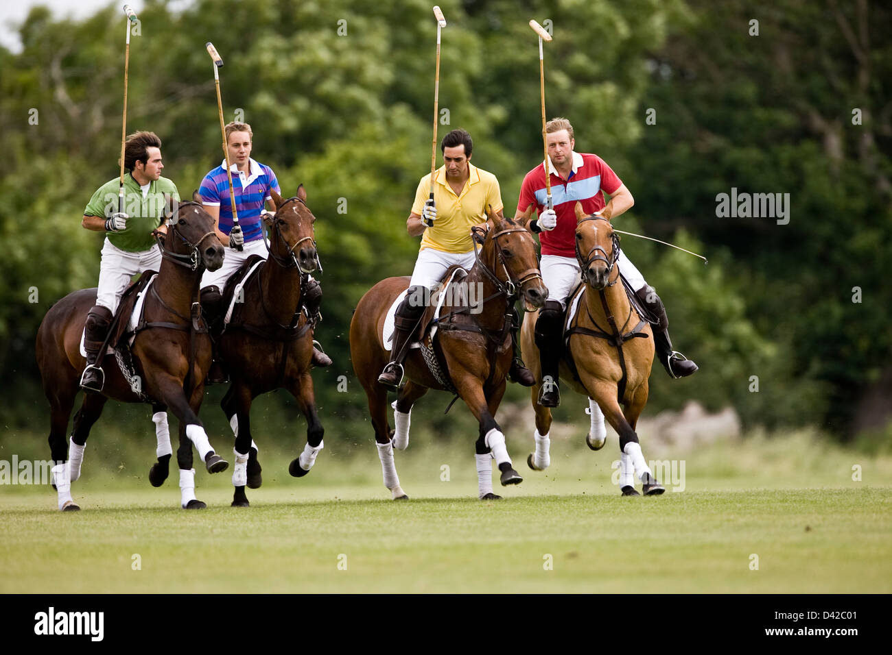Polospieler zu Pferd, Rivalität Stockfoto